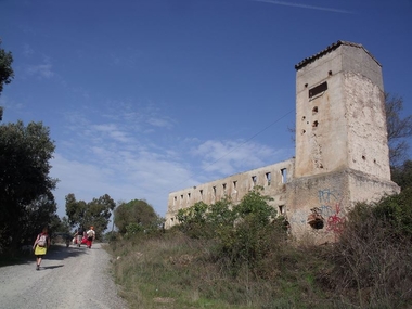 La Asociación Natura 2000 organiza una ruta senderista al Cerro de El Milano en Cáceres este domingo