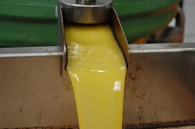 APAG Extremadura Asaja lamenta la 'bajada inexplicable' del precio del aceite de oliva virgen