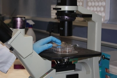 El gasto en I+D desciende un 10,5% en 2014 en Extremadura