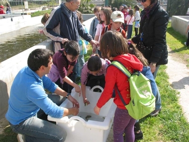 Más de 1.000 escolares extremeños participarán en actividades con motivo del Día Nacional de la Acuicultura