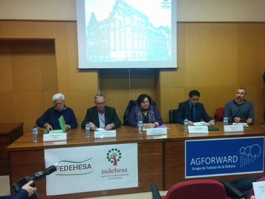 La Junta destaca 'la importancia del aprovechamiento ganadero en el futuro de la dehesa extremeña'