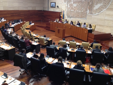 La Asamblea de Extremadura apuesta por reformas normativas 'nuevas y más vigorosas' en apoyo a los discapacitados