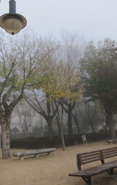 La provincia de Cáceres amanece en Nochebuena con aviso amarillo por nieblas