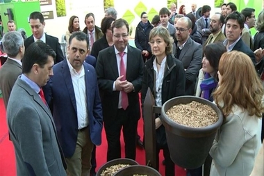 Tejerina resalta el 