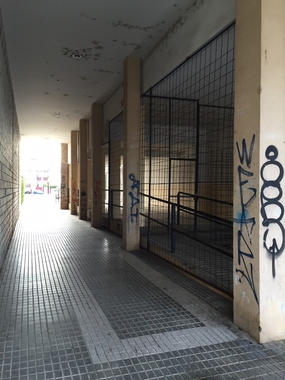 El grupo socialista reclama mejoras en Huerta Rosales como adecentar jardines e intensificar la limpieza
