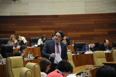 Vergeles hace una valoración 'positiva' de la aplicación de la Ley de la Dependencia en Extremadura en 2015