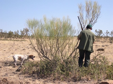 El sorteo de la oferta pública de caza de Extremadura se celebra el próximo miércoles