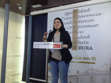 El PSOE critica que Podemos presente una enmienda a la 'corrección de la desigualdad social' de la región