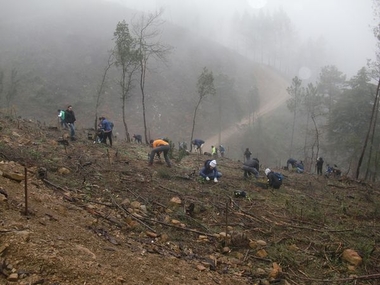 Estudiantes extremeños, galardonados en los III Premios al Voluntariado Universitario 