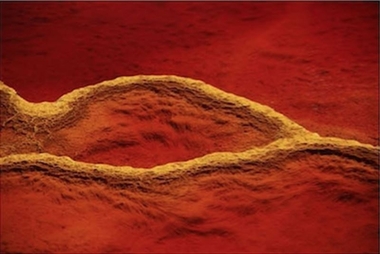 Una exposición fotográfica en Badajoz muestra objetos desde ángulos diferentes para dar 'una realidad engañosa'