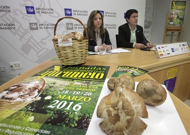 Las Jornadas del Gurumelo de Villanueva del Fresno aspiran a ser Fiesta de Interés Turístico Regional