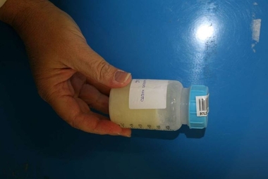 Los bancos españoles de leche materna presentan en Mérida una guía de consenso para regular su actividad