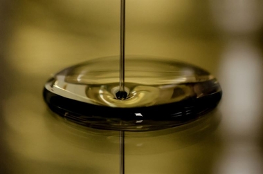 El 99 por ciento de los hogares extremeños consumen aceite de oliva, del que destacan su calidad y precio