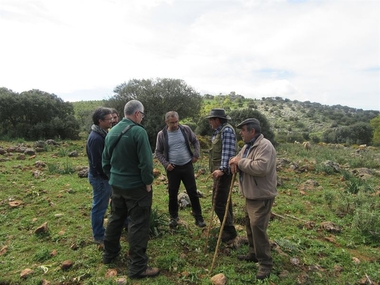 Investigadores de la Universidad de Extremadura se interesan por el proyecto andaluz Red de Áreas Pasto-Cortafuegos