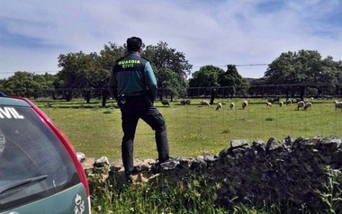 Detenido por estafar a varios ganaderos en Badajoz al venderles ganado que nunca entregaba