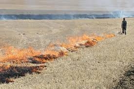 Extremadura atiende a los agricultores y permitirá la quema de rastrojos de forma excepcional y con informes previos
