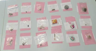 La Policía Local de Badajoz levanta 18 actas de aprehensión de estupefacientes en la fiesta de 'Los Palomos'