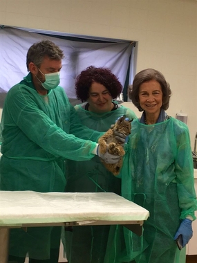La Reina Doña Sofía visita el centro de cría en cautividad de lince ibérico en Zarza de Granadilla