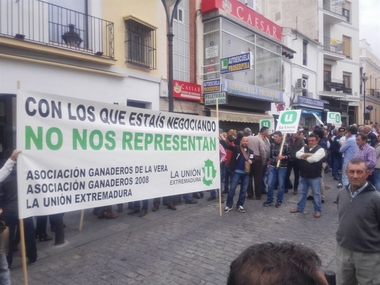 Unos mil ganaderos extremeños reclaman en Mérida medidas contra la tuberculosis bovina para evitar la 'ruina' del sector