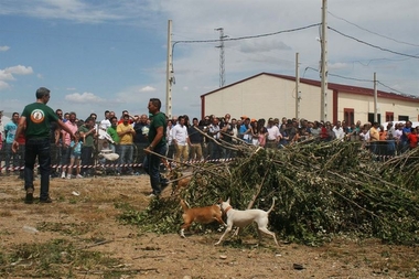 El III Día del Cazador Extremeño congrega en Llerena a miles de aficionados