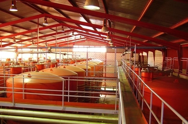 Cooperativas del Valle del Jerte ofrecen visitas guiadas para 
