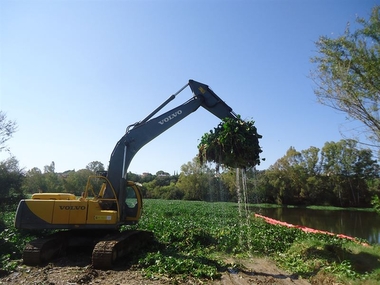 Los trabajos de retirada de camalote continúan y se extienden a lo largo de todo el tramo de río afectado