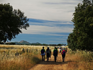 ﻿﻿Más de un centenar de senderistas participa en la I ruta 'Del llano a la sierra' por la zona de Montánchez