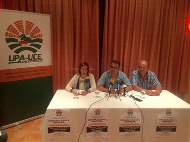 UPA-UCE Extremadura asistirá en Madrid a una concentración en defensa del olivar tradicional