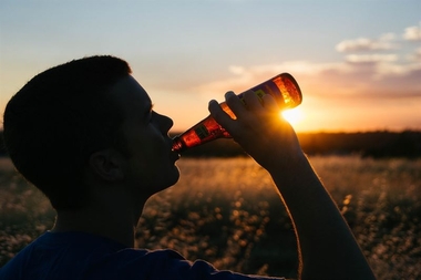 Andalucía y el sur de Extremadura lideran las ventas de cerveza en 2015, con 7,8 millones de hectolitros