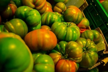 La campaña del tomate 2016 en Extremadura podría registrar 100.000 transportes