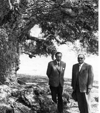 La Junta Nacional da Cortia  y el el milagro portugués