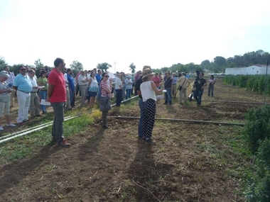 Agricultores y empresas se interesan por el cultivo de quinoa en una jornada de campo en Cicytex