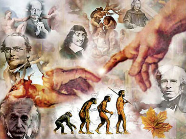 La lógica de la gratitud