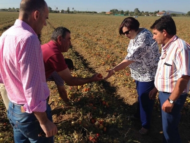 La Junta de Extremadura reclama ayudas económicas al Gobierno central para paliar las pérdidas por las tormentas