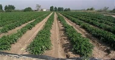Sindicatos y patronales del sector firmarán este miércoles el Convenio Colectivo del Campo en Extremadura