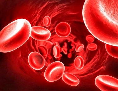 ¿Qué significa ser hemofílico?
