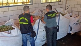 La Guardia Civil detiene a varias personas por robo de almendras en la provincia de Badajoz