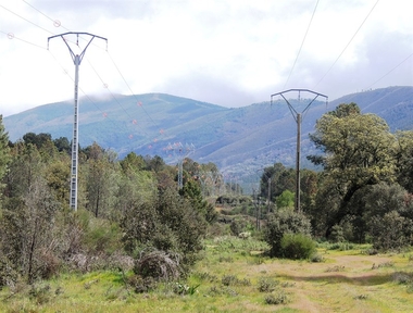 Iberdrola mejora un 10 por ciento la calidad del servicio en Extremadura en lo que va de año