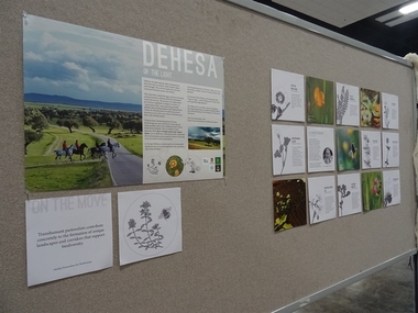 Una exposición sobre la dehesa de Arrollo de la Luz llega a Hawai