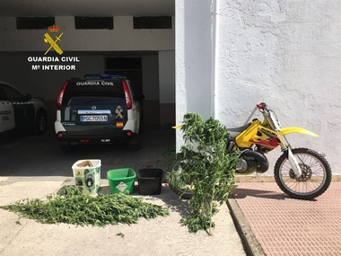 Cuatro detenidos implicados en varios robos en el refugio de animales 'San Jorge'de Cáceres