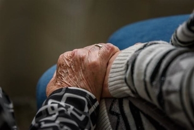 Olivenza colgará fotografías, cartas, frases o dibujos de unos árboles con motivo del Día del Alzheimer