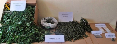 Un detenido en Castuera (Badajoz) por supuestos cultivo, tráfico de drogas y defraudación eléctrica