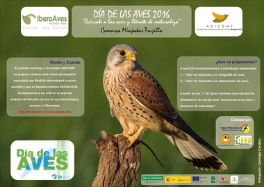 ADICOMT celebrará el Día de las Aves 2016 en el azud del Embalse del Río Búrdalo