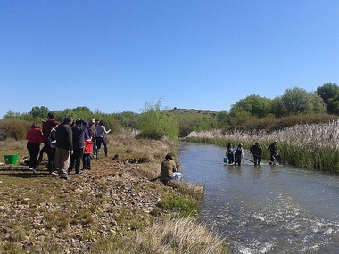 400 voluntarios colaboran en la conservación del medio ambiente junto a Aprosuba 9