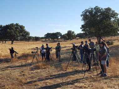 La celebración del Día Mundial de las Aves en la Comarca Miajadas-Trujillo, se desarrolla con un gran nivel de participación