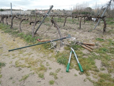 La Junta de Extremadura destina cinco millones a ayudas a la contratación de seguros agrarios