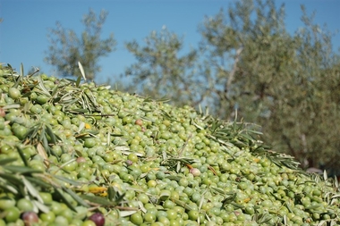 Apag Extremadura Asaja advierte de que 
