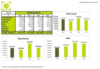 La cosecha de cereales en Extremadura aumentará un 20 por ciento y rozará los 1,3 millones de toneladas