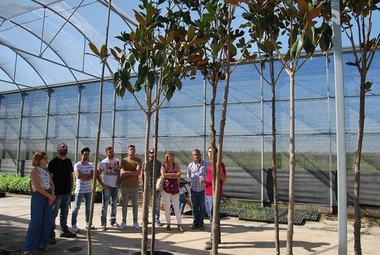 El vivero de Don Benito suministra más de 100.000 plantas ornamentales a 160 ayuntamientos de la provincia