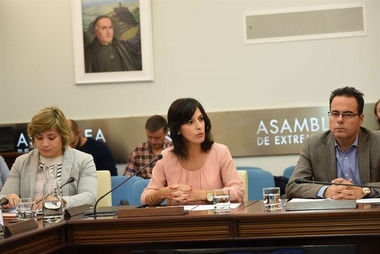 Los dos proyectos de universidades privadas 'online' presentados a la Junta están en proceso de evaluación técnica